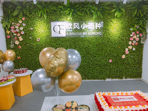 黄岛德语培训，青岛德语零基础学习班，小班授课，周末晚班一对一，市南崂山黄岛城阳多校区